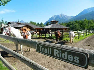 Trail Blazer Ride