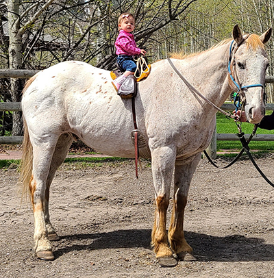 Boundary Ranch, Kananaskis, Alberta - Pony Rides - small child riding a pony