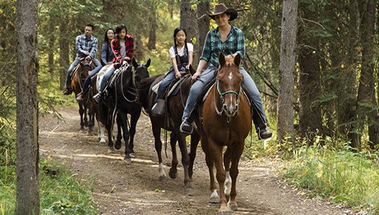 Boundary Ranch, Kananaskis, Alberta Buffalo Trail Horseback Riding Tour Boundary Ranch, Kananaskis, Alberta Buffalo Trail Horseback Riding Tour