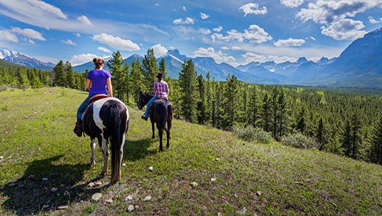 Boundary Ranch, Kananaskis, Alberta – Ridge Trail Horseback Riding Tour with Burger Lunch Boundary Ranch, Kananaskis, Alberta - Ridge Trail Horseback Riding Tour with Burger Lunch