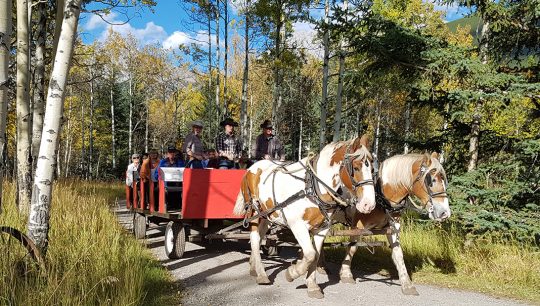 Boundary-Ranch—Kananaskis,-Alberta—Wagon-_-Sleigh-Rides—summer Boundary-Ranch---Kananaskis,-Alberta---Wagon-_-Sleigh-Rides---summer