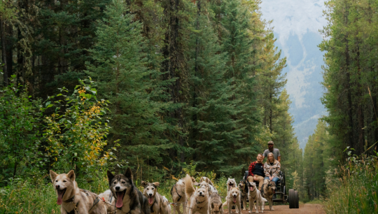 Boundary Ranch, Kananaskis, Alberta - Woof & Hoof Tour Package 4