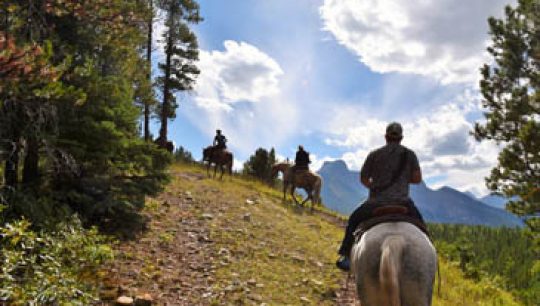SurfSaddleRide Surf and Saddle Ride